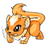 Orange Xweetok