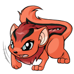 Orange Xweetok