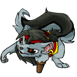 Pirate Xweetok