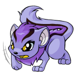 Purple Xweetok