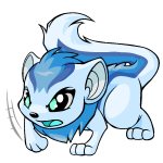 White Xweetok