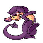 Purple Zafara