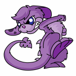 Purple Zafara