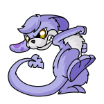 Purple Zafara