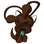 Brown Aisha