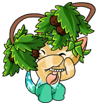 Island Aisha