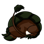 Brown Bori
