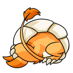 Orange Bori