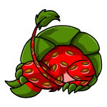 Strawberry Bori