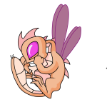 Orange Buzz