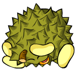 Durian Chia