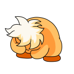 Orange Chia