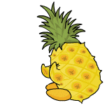 Pineapple Chia