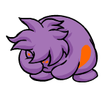 Purple Chia