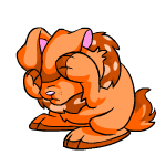 Orange Cybunny