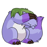 Purple Dirego