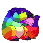 Rainbow Dirego