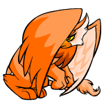 Orange Eyrie