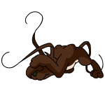 Brown Gelert