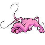 Pink Gelert