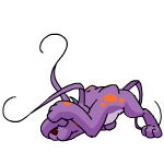 Purple Gelert