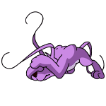 Purple Gelert