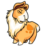 Orange Gnorbu