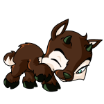 Brown Ixi