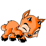 Orange Ixi
