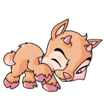 Orange Ixi