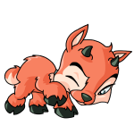 Orange Ixi