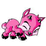 Pink Ixi