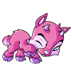 Pink Ixi