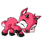 Pink Ixi