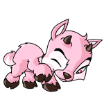 Pink Ixi