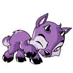 Purple Ixi