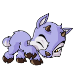 Purple Ixi