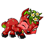 Strawberry Ixi