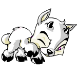 White Ixi