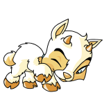 White Ixi