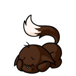 Brown Kacheek