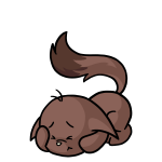 Brown Kacheek