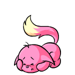 Pink Kacheek