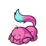 Pink Kacheek
