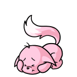 Pink Kacheek