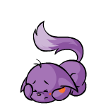 Purple Kacheek