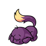Purple Kacheek