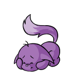 Purple Kacheek