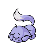Purple Kacheek