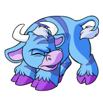 Blue Kau
